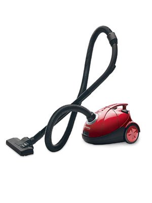Eureka Forbes Quick Clean DX Vacuum Cleaner (1)