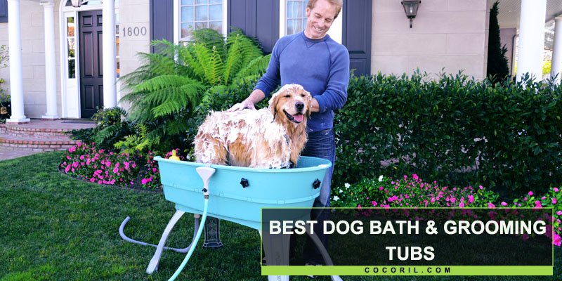 Best Dog Bath & Grooming tubs