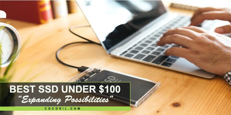 Best SSD under $100
