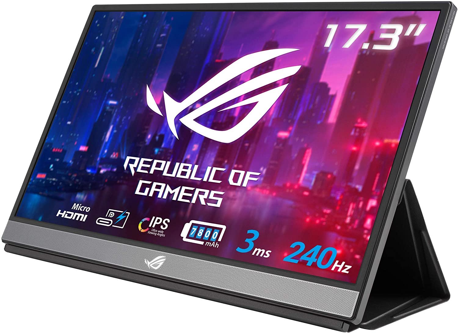 Portable Monitor