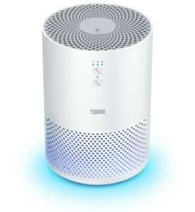 Toppin Hepa Air Purifiers for Home